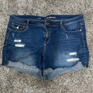 Lane Bryant Distressed Jean Shorts with eyelet lace details - Size 20